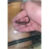 Luristan_newt_for_sale