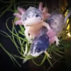 buy piebald axolotl